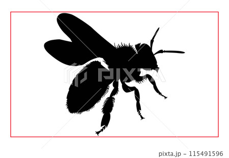 Honey Bee Hand drwaing silhouette, Illustration of Bee Silhouette Art 115491596