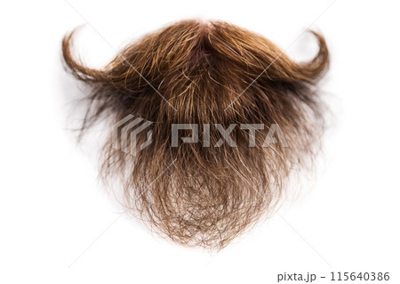 Man's beard isolated on white background 115640386