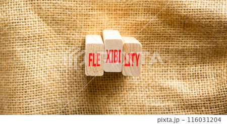 Flexibility symbol. Concept word Flexibility on beautiful wooden blocks. Beautiful canvas background. Business flexibility concept. Copy space. 116031204