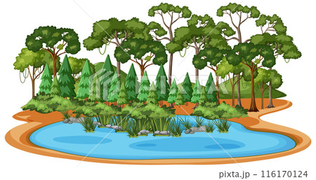 Serene Forest with Tranquil Pond 116170124