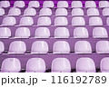 Empty rows of purple stadium seats in an outdoor setting, texture, background. 116192789