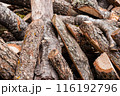 Pile of chopped firewood logs with rough bark, ready for use, stacked haphazardly, showcasing various sizes and textures. 116192796