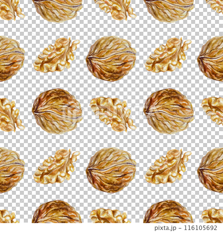 Walnut seamless pattern. Whole and without shell, nut fruit. Hand drawn watercolor illustration isolated on white background. For packaging paper, cards, textiles, fabric, covers. 116105692