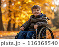 Cute happy school age boy sitting on a wheelchair in an autumn park and enjoying a sunny day 116368540