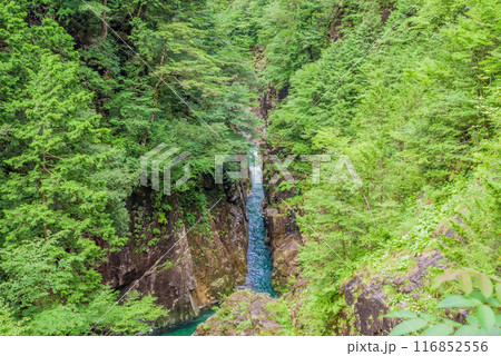 断崖の渓谷「川浦渓谷」（岐阜県） 116852556