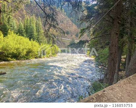 Looking down stream at cleer creek river rapids in Colorado 116853753