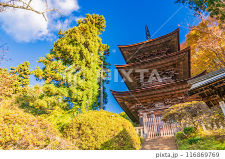 【長野県】大法寺三重塔　国宝 116869769