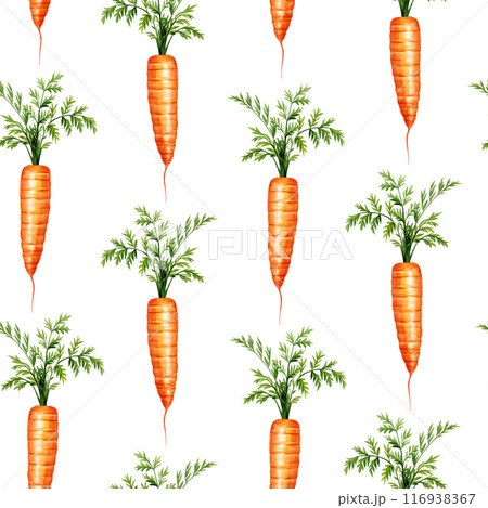 Carrots background, watercolor botanical painting seamless pattern. Realistic carrots image to decorate funny design 116938367