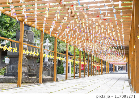 夏の竹駒神社　参道　夏詣　宮城県岩沼市 117095271