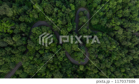 Aerial view countryside asphalt road curve passing through the green forest and mountain, Road curve in the middle of the jungle green forest, Curve road in woodlands outdoor adventure trip. 117037886