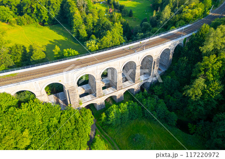 An aerial view showcases the Sychrov Railway Bridge in Czechia, prominently standing over the dense forest. The bright greenery complements the elegant architecture. 117220972