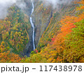 富山_紅葉に染まる称名滝の絶景風景 117438978