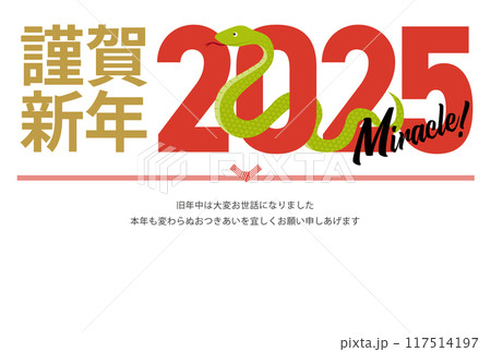 2025年の巳と抱負が書かれた年賀状_謹賀新年_横 117514197