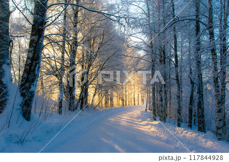 Winter road view from Kajaani, Finland. 117844928