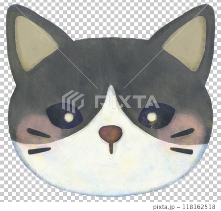 Black and white fur cat illustration face 118162518