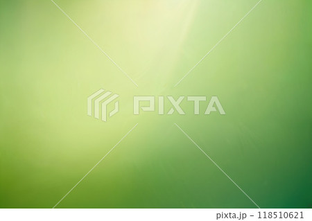 Green pastel background with sunshine glare. 118510621