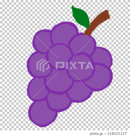 Hand drawn grape for vegan, fruit, juice, healthy ingredients, cook book, baking, food, snack, sweet dessert, nature, garden, brooch, cute patches, sticker, diet, department store, light lunch, meal 118525137