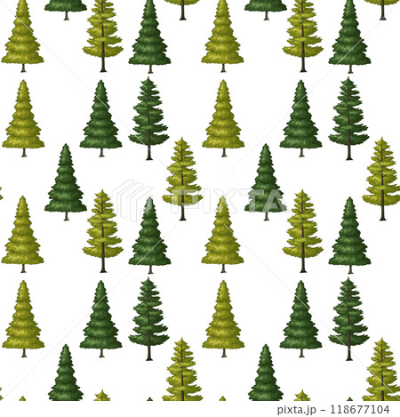 Seamless Evergreen Tree Pattern 118677104