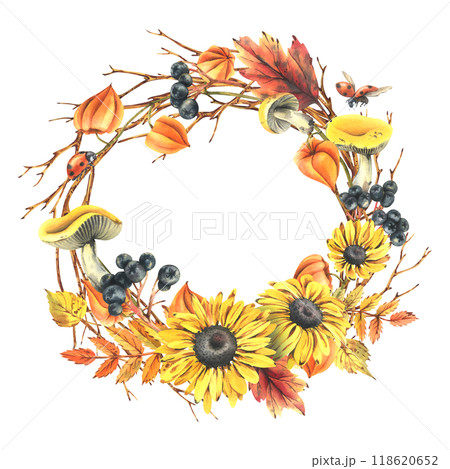 Autumn berries physalis, chokeberry, rowan leaves, maple, birch, russula mushrooms, rudbeckia flowers, tree branches and ladybugs. Watercolor illustrations. Round frame wreath isolated from background 118620652