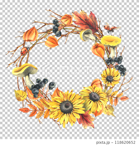 Autumn berries physalis, chokeberry, rowan leaves, maple, birch, russula mushrooms, rudbeckia flowers, tree branches and ladybugs. Watercolor illustrations. Round frame wreath isolated from background 118620652