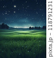 Magical night scene with glowing fireflies over a grassy field with a blurred background and bokeh lights, creating a dreamy atmosphere, Generative AI. 118791231