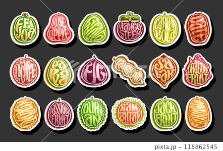 Vector Exotic Fruit Set 118862545