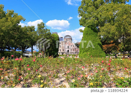 【広島県】秋晴れの原爆ドームとバラの花 118934224