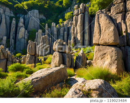 stone wall of stone 119023484