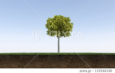 tree on the grass and a slice of soil under it, 3d render 119388180