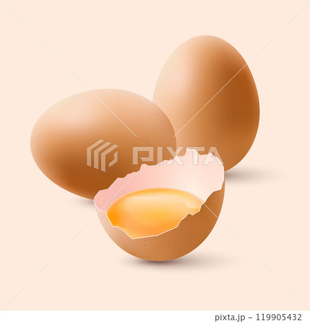 Chicken Eggs 119905432