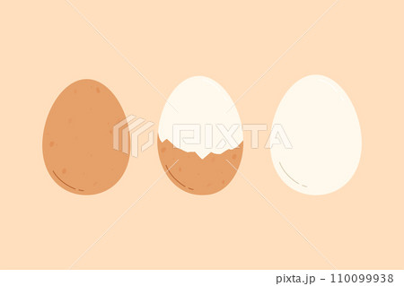 Boiled peeled chicken egg. Flat isolated vector illustration 110099938