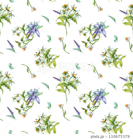 Sage herbal plant, bur-marigold watercolor seamless pattern isolated on white background. Salvia, nettle, chamomile, daisy useful flowers hand drawn. Design for label, package, home textile, wrapping 110675379