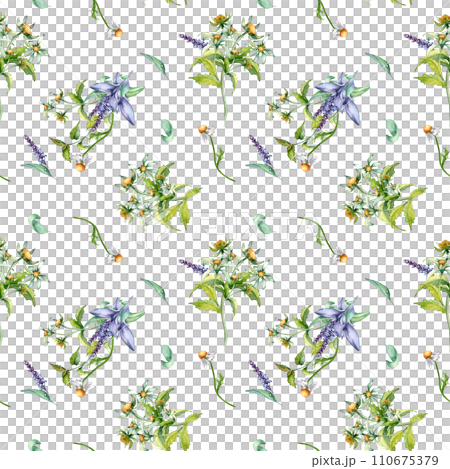 Sage herbal plant, bur-marigold watercolor seamless pattern isolated on white background. Salvia, nettle, chamomile, daisy useful flowers hand drawn. Design for label, package, home textile, wrapping 110675379