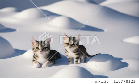 雪と子猫 110778123