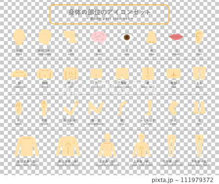 身體部位圖示集部分人體象形圖健康上半身下半身按摩醫療 111979372