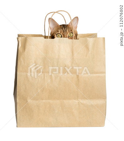 A cute red cat looks out of a paper bag. 112076802