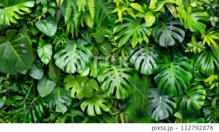 Close-up, Beautiful fresh nature view with plants, leaves, and garden background, Generative AI 112792876