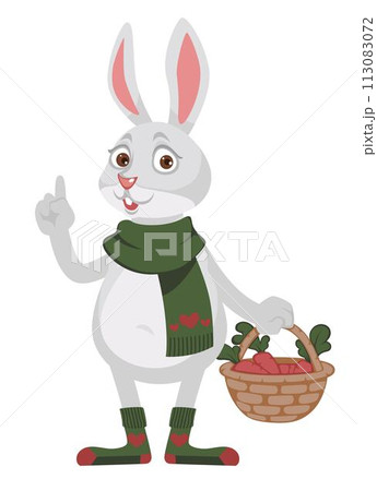 Rabbit with basket of carrots wearing scarves 113083072