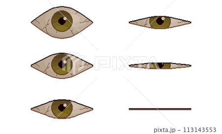 Pixel art eye. Set of blinking, open and closed eyes. 8-bit retro video game style. Vector illustration. 113143553