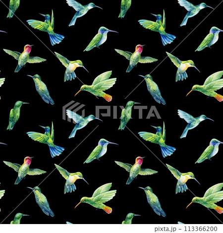 Watercolor colorful birds, hand drawn hummingbirds background. Seamless pattern, backdrop design, fabric, wallpaper 113366200