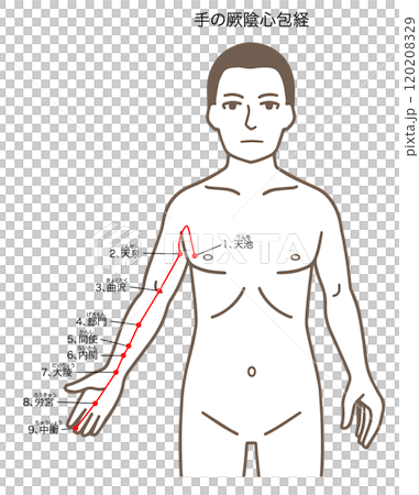 針灸穴位、手陰心經、穴位圖解 120208329