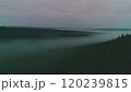 Dark mysterious burned forest landscape. Forest in Fire, Burning Trees, Bushes, Burning Dry Grass in the Peatbog. Heavy Smoke Against Sky. Drone Shot 120239815