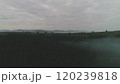 Dark mysterious burned forest landscape. Forest in Fire, Burning Trees, Bushes, Burning Dry Grass in the Peatbog. Heavy Smoke Against Sky. Drone Shot 120239818