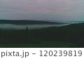 Dark mysterious burned forest landscape. Ash covered forest after fire. Smoke rising from ground after wildfire. Aerial panoramic, with cloud formation from burning rice stubble, aerial drone shot. 120239819