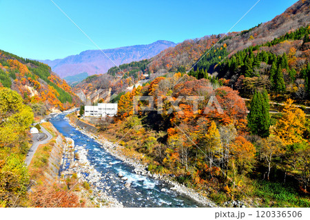 秋山郷 中津川／屋敷橋付近より下流方面を望む(長野県栄村)【2024.11】 120336506