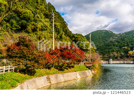 河内貯水池の紅葉【福岡県北九州市】 121446523