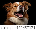 A tired dog lies on a white background, yawning widely. The scene conveys calm and serenity. 121457174