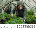 Cultivating fresh greensa gardener's journey in a greenhouse capturing nature's growth and sustainability close-up viewpoint 121556034