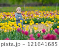 Happy three year old toddler boy runs in a tulip field on a sunny spring day. Childhood and nature concept 121641685