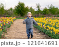 Happy three year old toddler boy runs in a tulip field on a sunny spring day. Childhood and nature concept 121641691